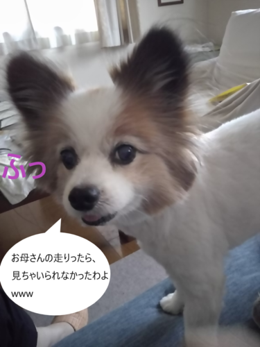 f:id:monachabimama:20190709153904p:plain f:id:monachabimama:20190709153904p:plain