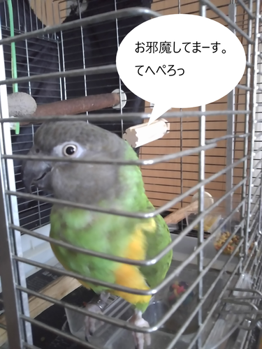 f:id:monachabimama:20190814081758p:plain
