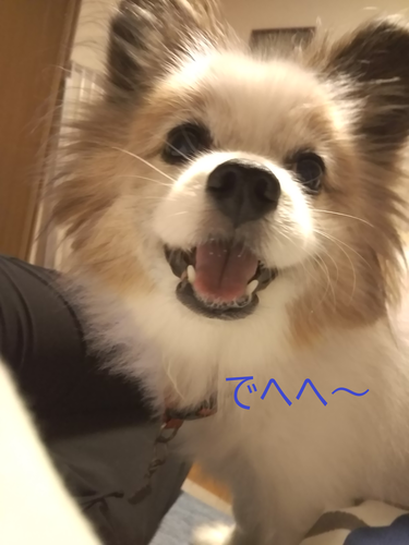 f:id:monachabimama:20190830150927p:plain