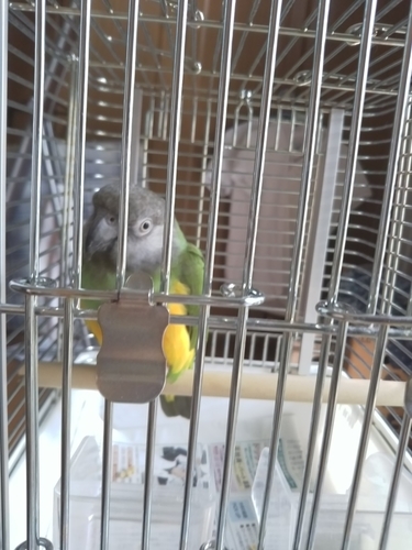 f:id:monachabimama:20190904204440j:plain