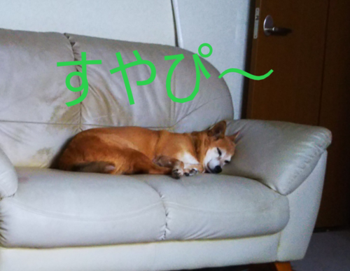 f:id:monachabimama:20190922090030p:plain f:id:monachabimama:20190922090030p:plain