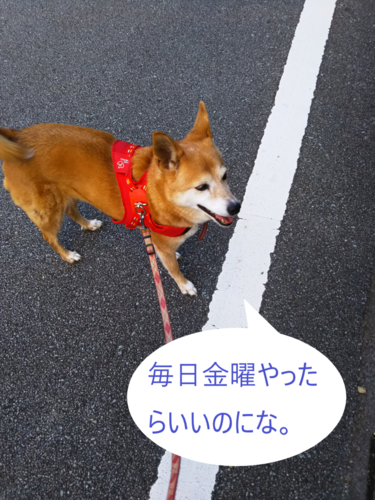 f:id:monachabimama:20191004173911p:plain