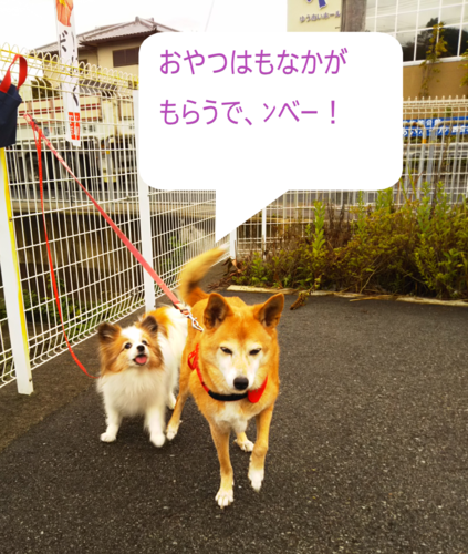 f:id:monachabimama:20191026120851p:plain