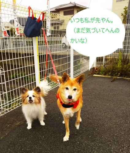 f:id:monachabimama:20191026121018p:plain