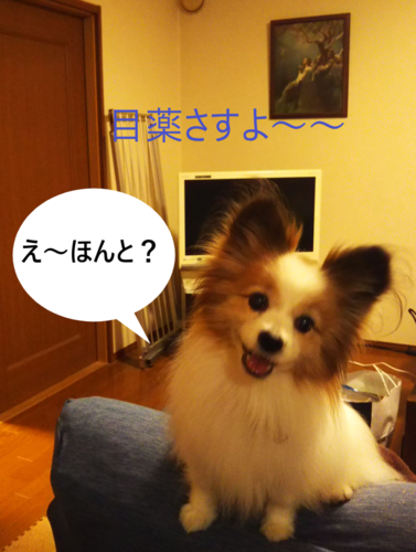 f:id:monachabimama:20191207141334p:plain