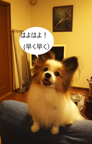 f:id:monachabimama:20191207141632p:plain