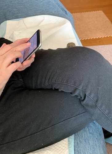 f:id:monachabimama:20191218152943j:plain f:id:monachabimama:20191218152943j:plain