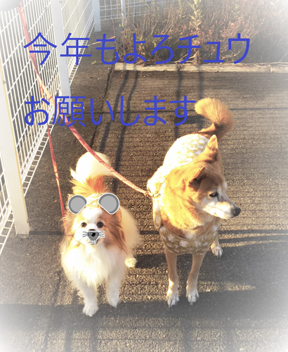 f:id:monachabimama:20200104145832p:plain f:id:monachabimama:20200104145832p:plain