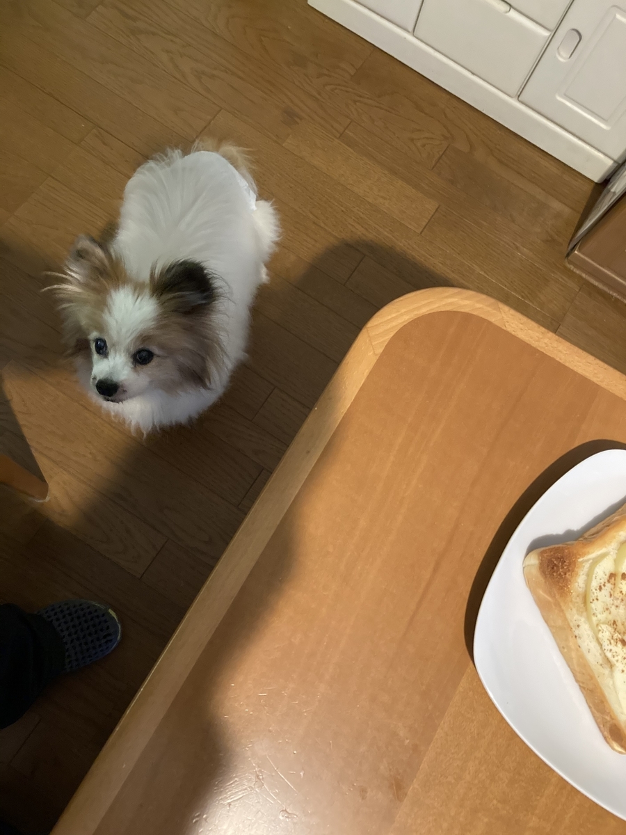f:id:monachabimama:20210203151720j:plain