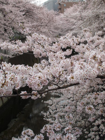 f:id:monaka:20100403091926j:image