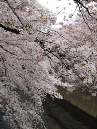 f:id:monaka:20100403092005j:image