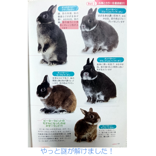 モナカのカラーについて謎がとけました モナカです 黒ウサギ