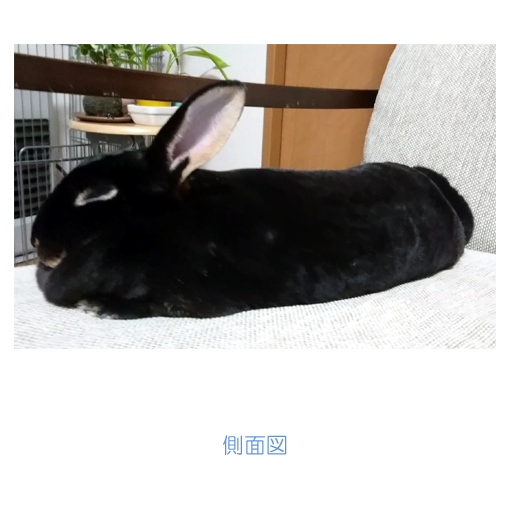f:id:monakablackrabbit:20180608180328j:plain f:id:monakablackrabbit:20180608180328j:plain