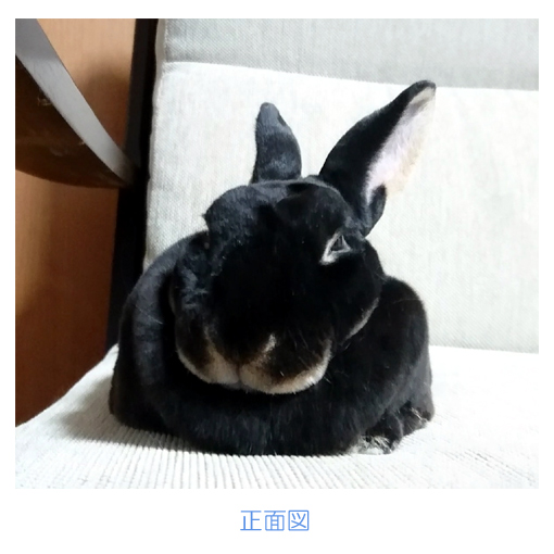 f:id:monakablackrabbit:20180608183258j:plain f:id:monakablackrabbit:20180608183258j:plain