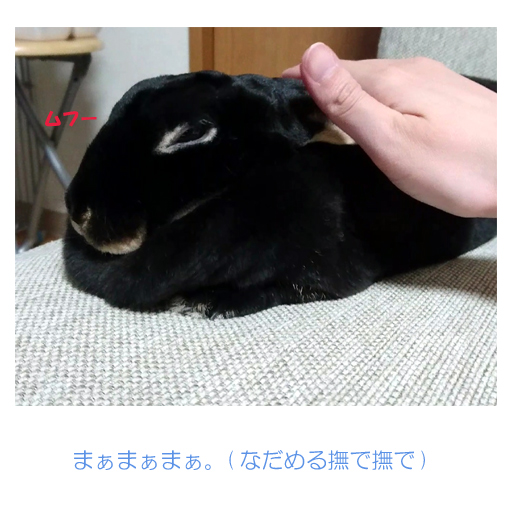 f:id:monakablackrabbit:20180608184827j:plain f:id:monakablackrabbit:20180608184827j:plain