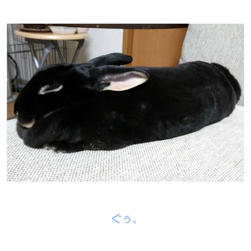 f:id:monakablackrabbit:20180608184851j:plain f:id:monakablackrabbit:20180608184851j:plain