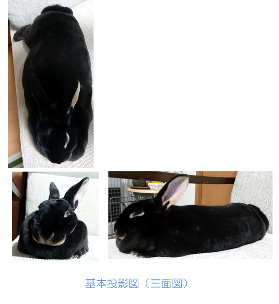 f:id:monakablackrabbit:20180608210625j:plain f:id:monakablackrabbit:20180608210625j:plain