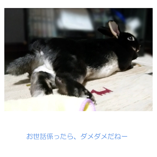 f:id:monakablackrabbit:20180612184913j:plain f:id:monakablackrabbit:20180612184913j:plain