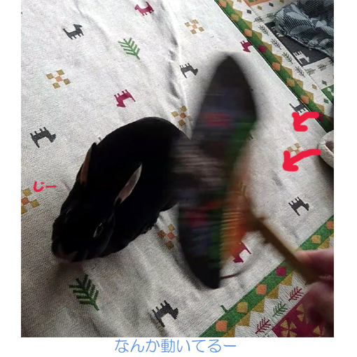 f:id:monakablackrabbit:20180615184121j:plain f:id:monakablackrabbit:20180615184121j:plain