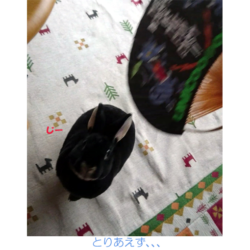 f:id:monakablackrabbit:20180615184430j:plain f:id:monakablackrabbit:20180615184430j:plain