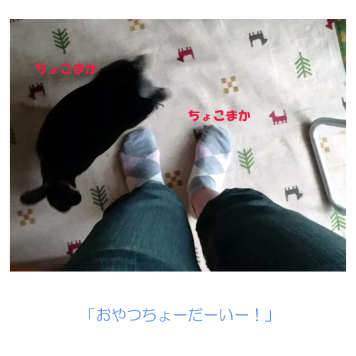 f:id:monakablackrabbit:20180620170144j:plain f:id:monakablackrabbit:20180620170144j:plain