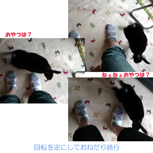 f:id:monakablackrabbit:20180620170209j:plain f:id:monakablackrabbit:20180620170209j:plain