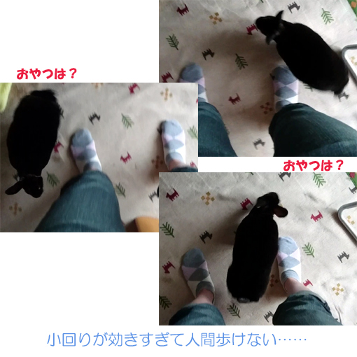 f:id:monakablackrabbit:20180620170223j:plain f:id:monakablackrabbit:20180620170223j:plain