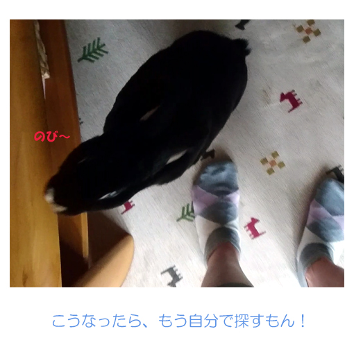 f:id:monakablackrabbit:20180620170734j:plain f:id:monakablackrabbit:20180620170734j:plain