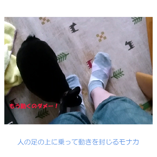 f:id:monakablackrabbit:20180620172117j:plain f:id:monakablackrabbit:20180620172117j:plain