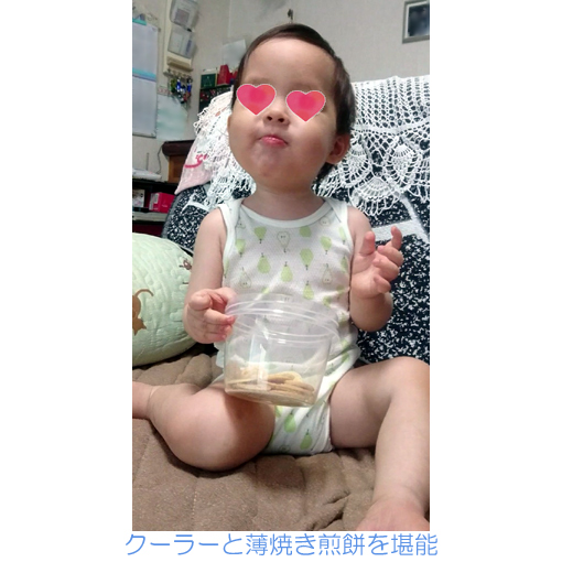 送料無料 Smtb U 中古 Pw Momoko ドール Ccs 09ss Ccs Yukata 栗かのこ Pw Momoko ペットワークスストア他限定 ネットショップ駿河屋 店