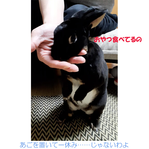 f:id:monakablackrabbit:20210623020015j:plain