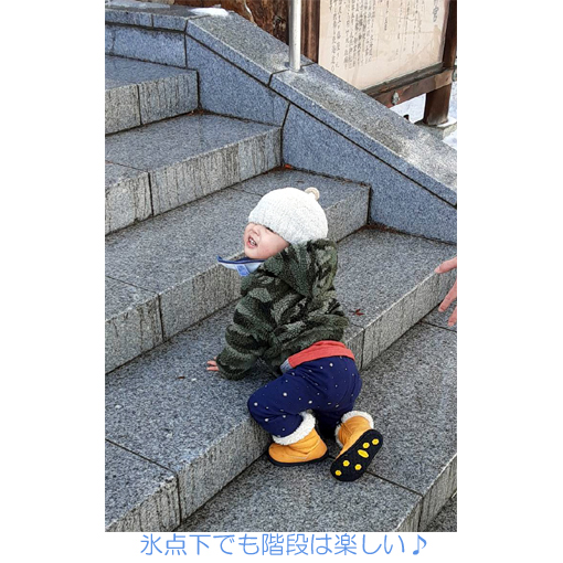 f:id:monakablackrabbit:20210625232346j:plain