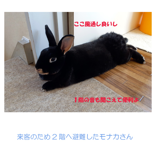 f:id:monakablackrabbit:20210729235651j:plain