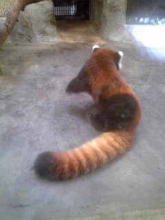 f:id:monbiz_ko-1:20110923012306j:image f:id:monbiz_ko-1:20110923012306j:image