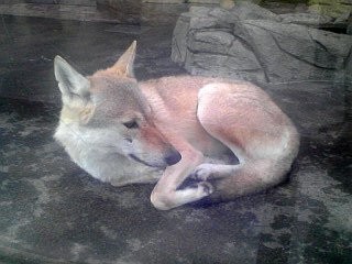 f:id:monbiz_ko-1:20110923012307j:image f:id:monbiz_ko-1:20110923012307j:image