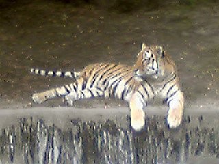f:id:monbiz_ko-1:20110923012308j:image f:id:monbiz_ko-1:20110923012308j:image