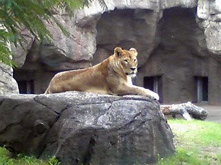 f:id:monbiz_ko-1:20110923012311j:image f:id:monbiz_ko-1:20110923012311j:image