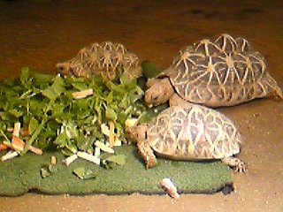 f:id:monbiz_ko-1:20110923012312j:image f:id:monbiz_ko-1:20110923012312j:image
