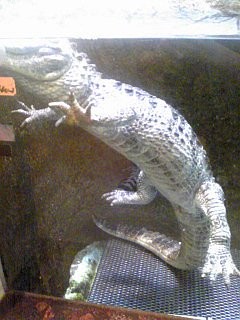 f:id:monbiz_ko-1:20110923012313j:image f:id:monbiz_ko-1:20110923012313j:image