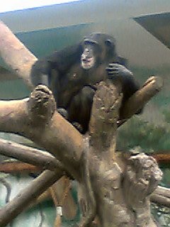f:id:monbiz_ko-1:20110923012315j:image f:id:monbiz_ko-1:20110923012315j:image