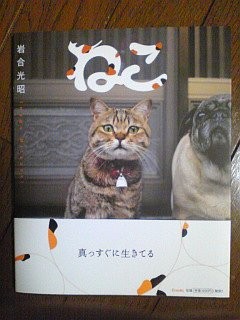f:id:monbiz_ko-1:20110923012321j:image f:id:monbiz_ko-1:20110923012321j:image