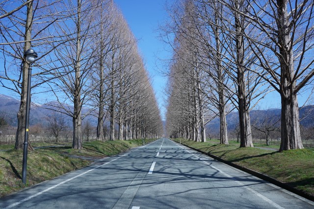 f:id:monchi5:20190411161140j:image f:id:monchi5:20190411161140j:image