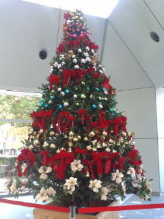 f:id:moncho:20101127130640j:image