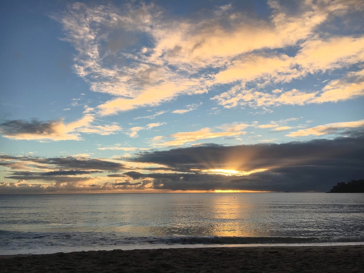 f:id:monchourelife:20201201122442j:plain