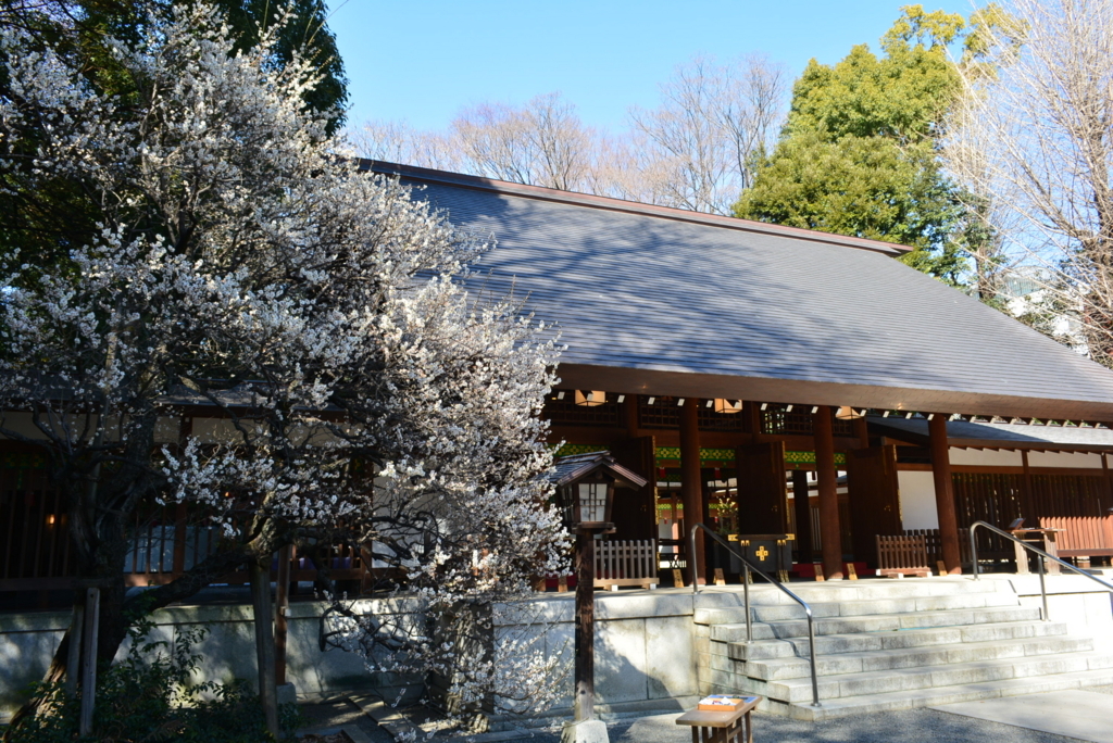 f:id:mondo7:20180218230744j:plain