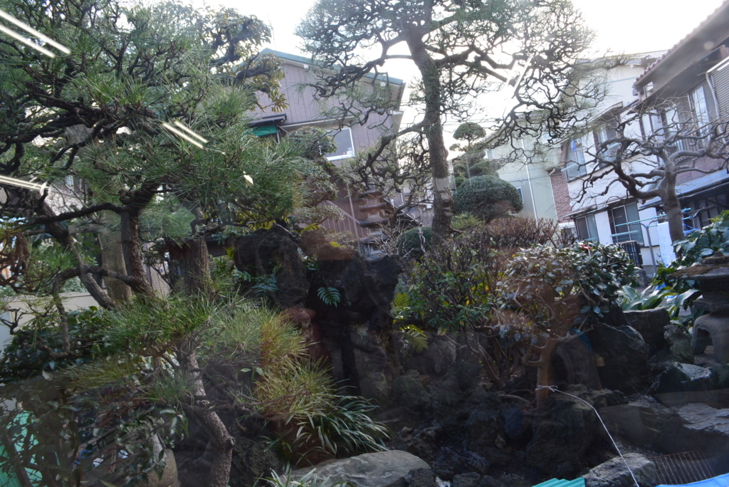 f:id:mondo7:20180219095013j:plain