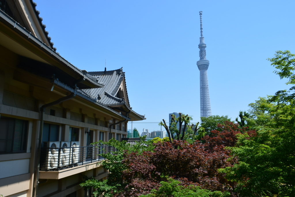 f:id:mondo7:20180506230533j:plain