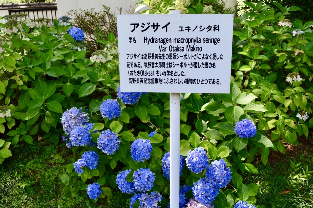 f:id:mondo7:20180618101741j:plain f:id:mondo7:20180618101741j:plain
