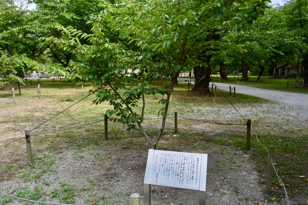 f:id:mondo7:20180723154656j:plain f:id:mondo7:20180723154656j:plain