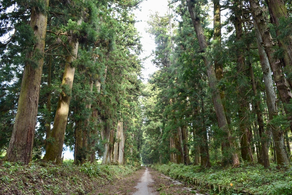 f:id:mondo7:20181026224010j:plain